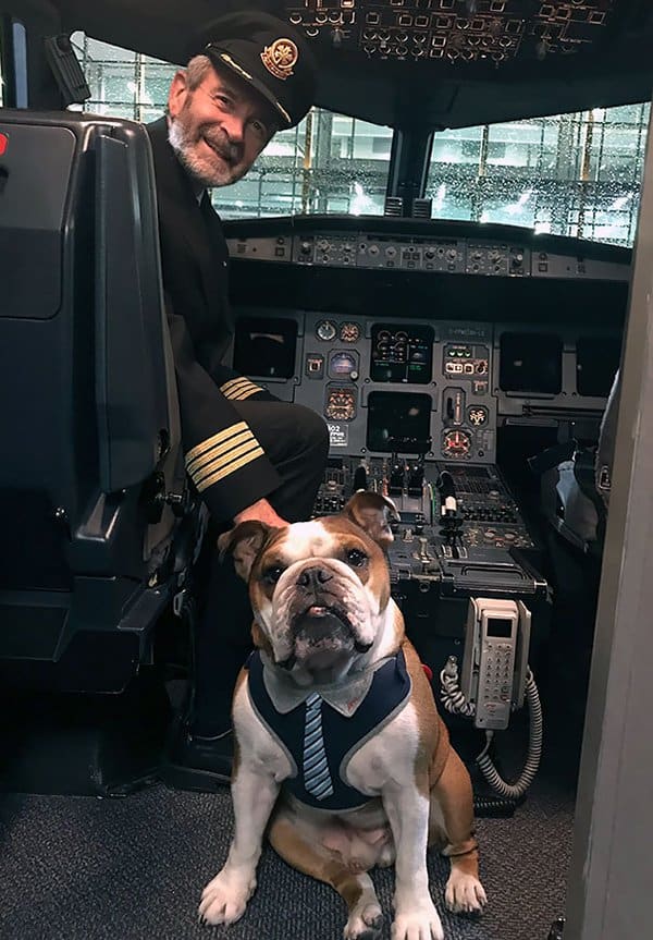 Animals On Flights bentley meeting captain