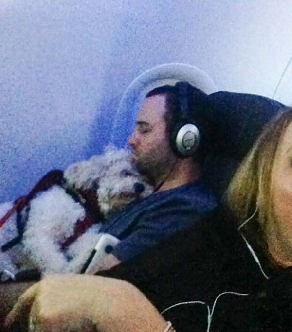 Animals On Flights guy and dog hugging