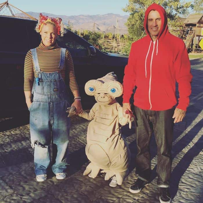 Celebrity Halloween Costumes pink and her family et characters