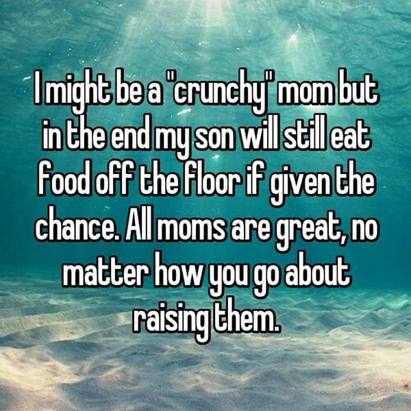 Confessions From Granola Moms all moms are great