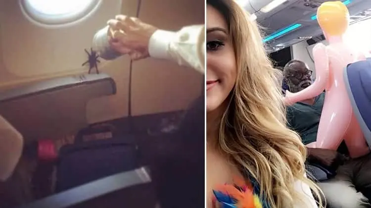 Crazy Things Spotted On Flights