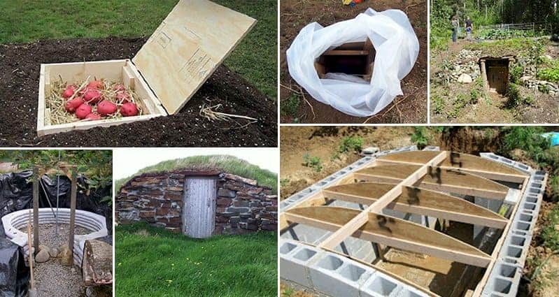 Creative Root Cellars That Will Make You Want To Build Your Own