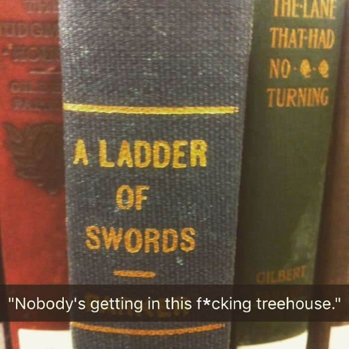 Fake Subtitles To Library Books a ladder of swords