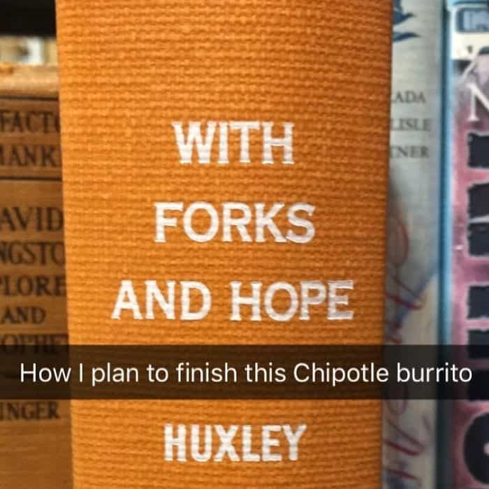 Fake Subtitles To Library Books chipotle burito