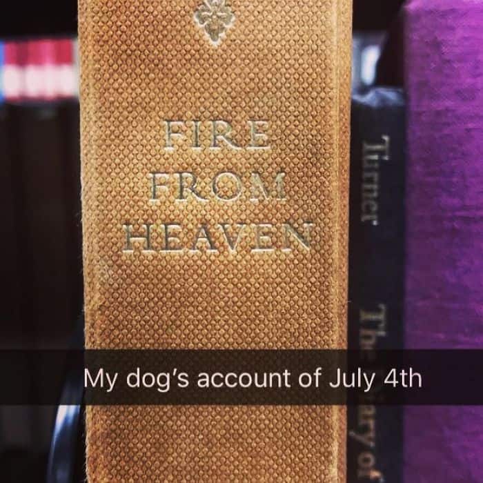Fake Subtitles To Library Books fire from heaven