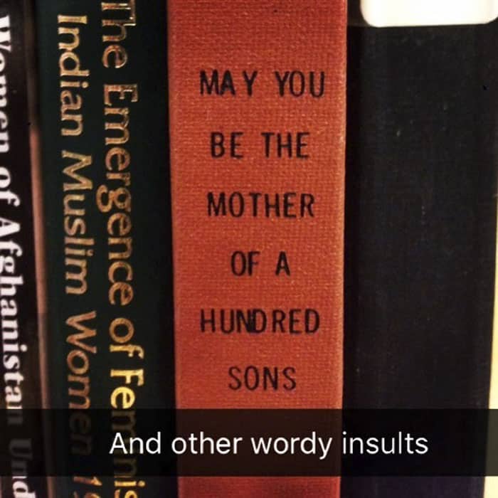Fake Subtitles To Library Books wordy insults