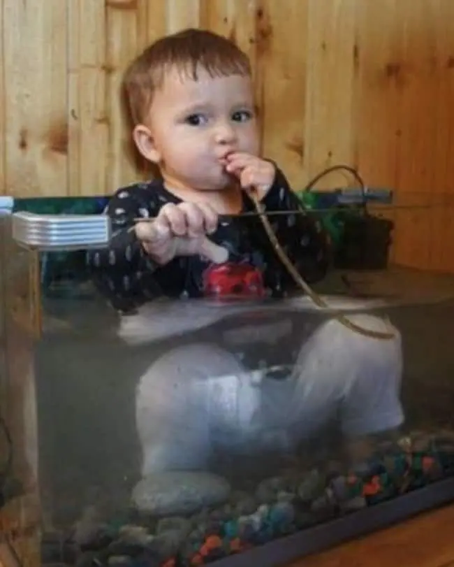Kids Being Strange sitting in fish tank