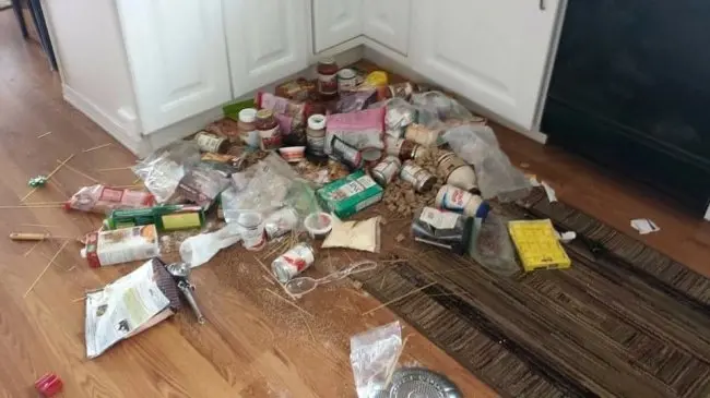 Leaving Kids Unattended kitchen mess