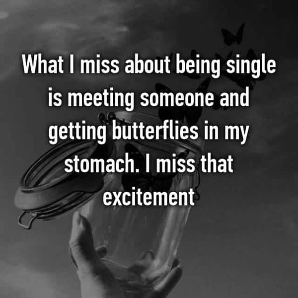 Miss About Being Single butterflies