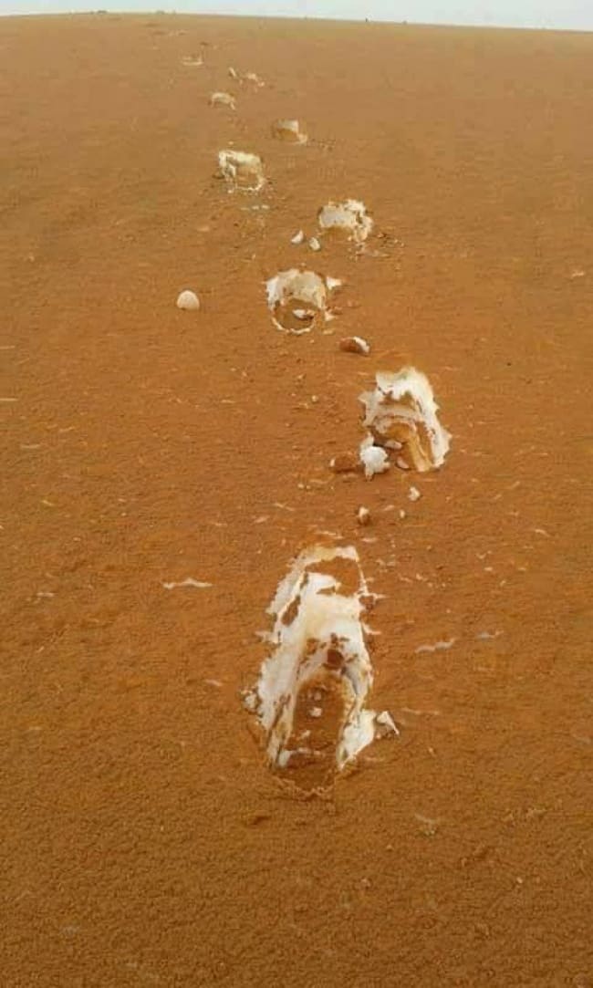 Photos Of Nature algerian desert sand and snow