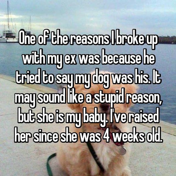 Secret Reasons People Dumped Their Partners dog was his