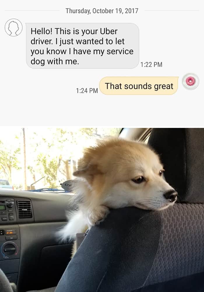 Uber Drivers Surprised Their Customers service dog