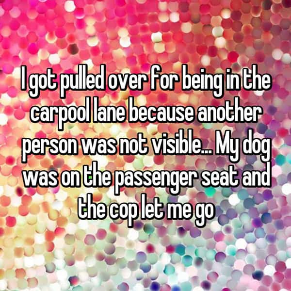 Ways That People Got Out Of Traffic Tickets dog car pool lane