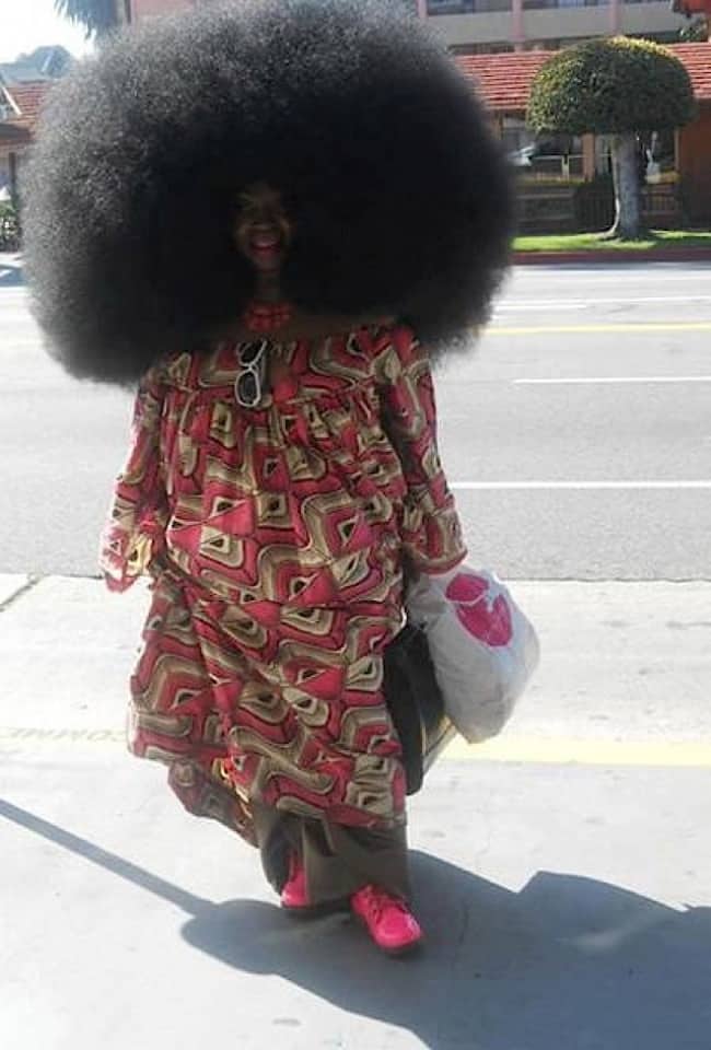 funny-crazy-hairstyles huge afro