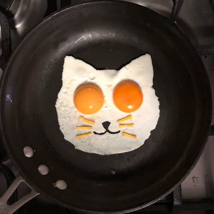 Breakfast Eggs Into Works Of Art cat