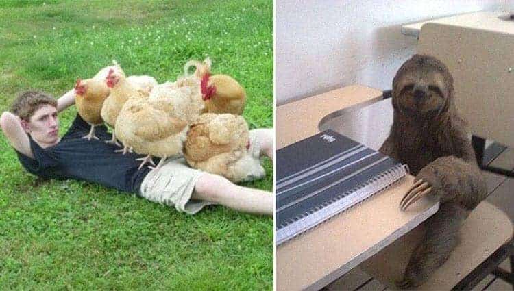 Confusing Photos That Will Leave You Gobsmacked