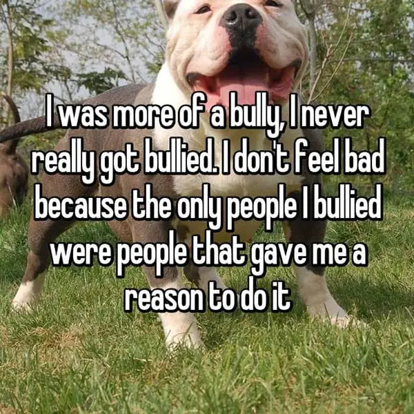 Former Bullies reason to do it