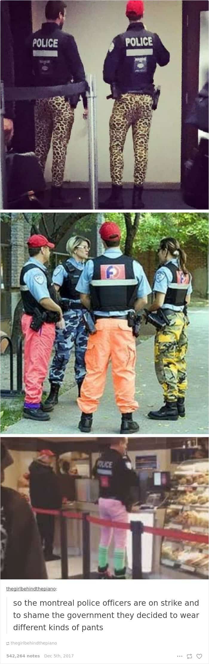 Funny Images About Canada pants