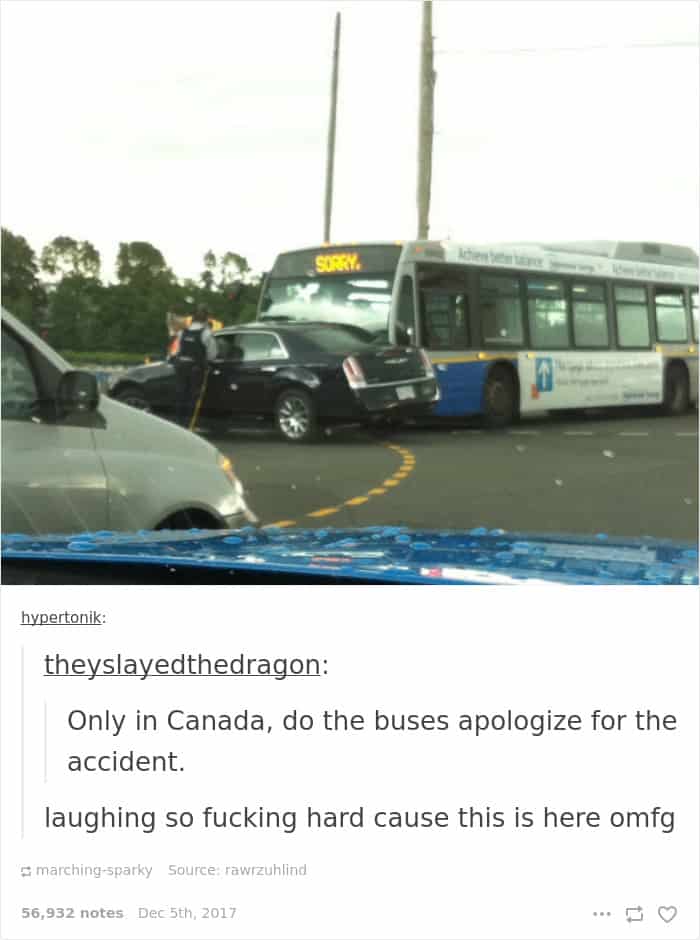 Funny Images About Canada sorry bus driver