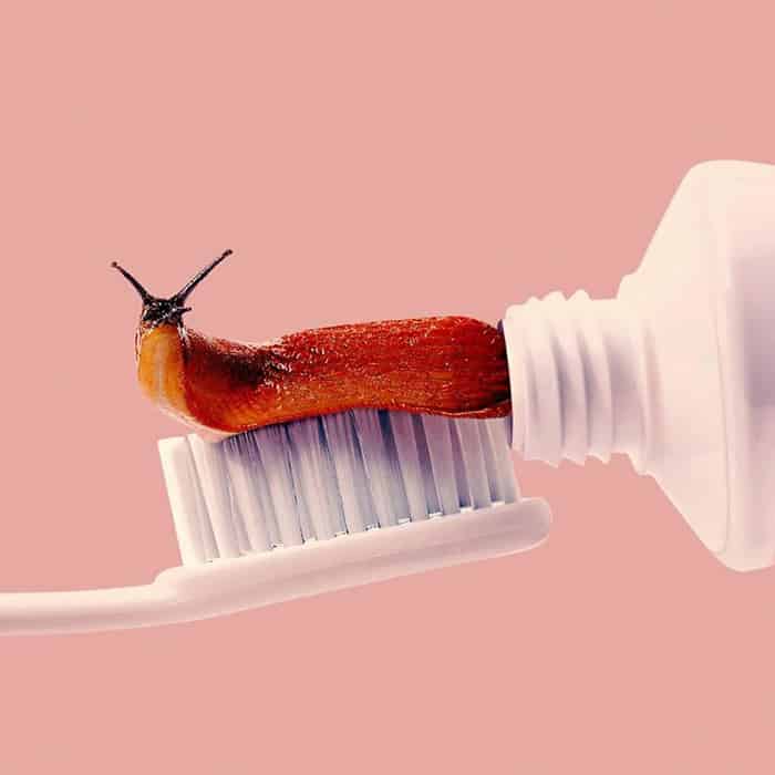 Mind Boggling Images unexpected objects slug toothpaste