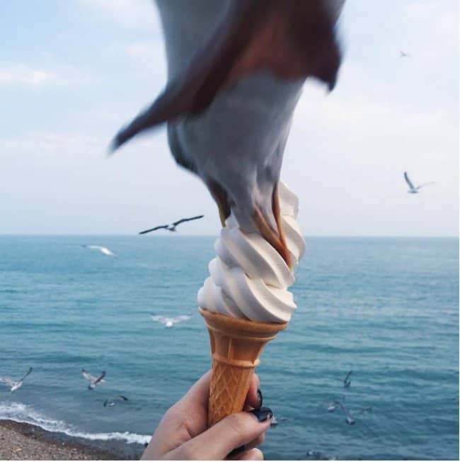 People Whom Fortune Did Not Favor bird eating ice cream