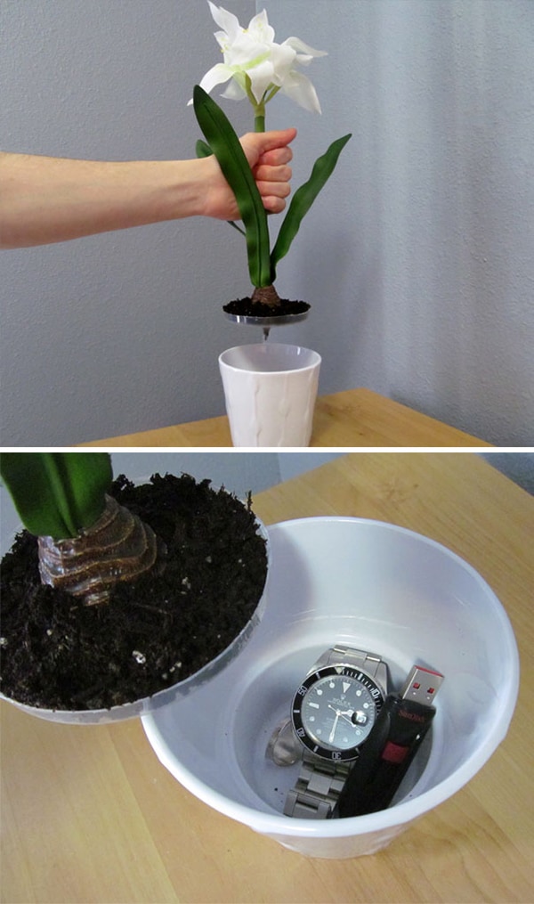 Places To Hide Your Valuables potted plant