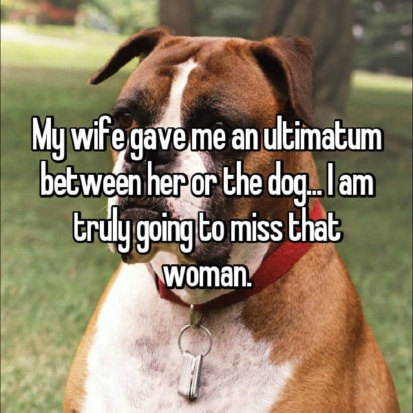 Shocking Ultimatums Husbands And Wives dog