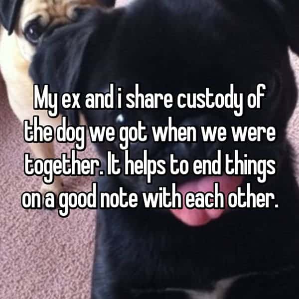 Still Share With Their Exes custody of dog