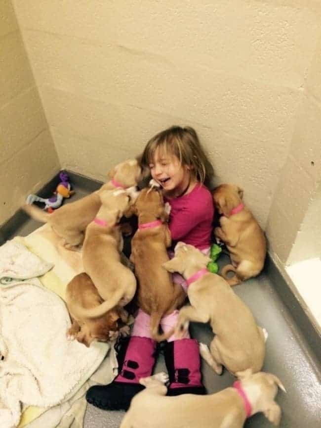 Wonderful Photos daughter volunteering puppies