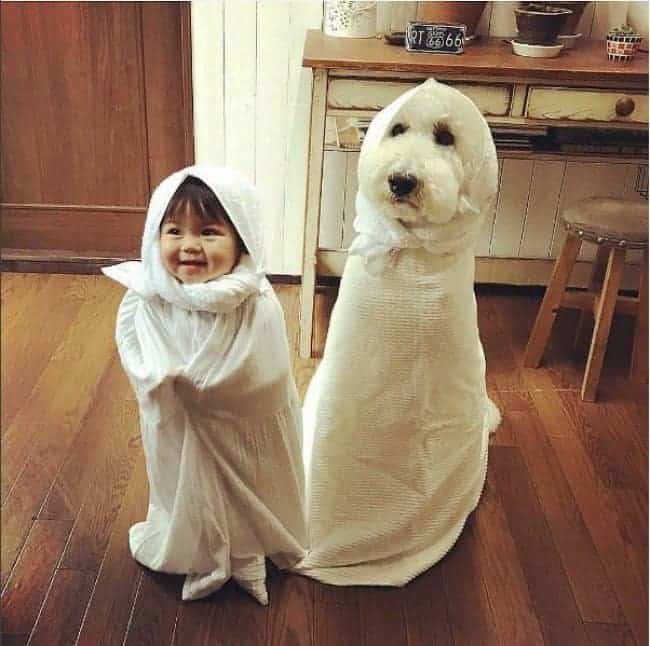 Wonderful Photos kid and dog dressed as ghosts