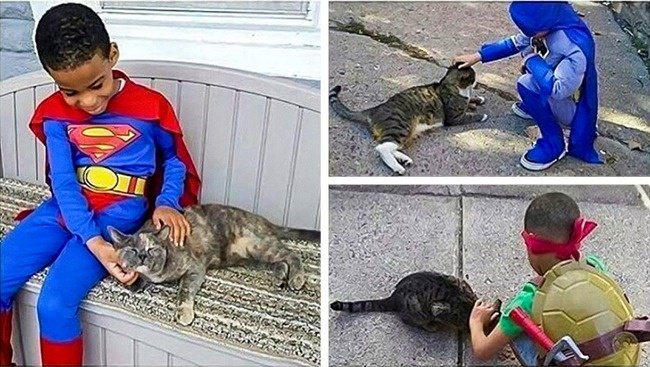 Wonderful Photos super hero help cats kid