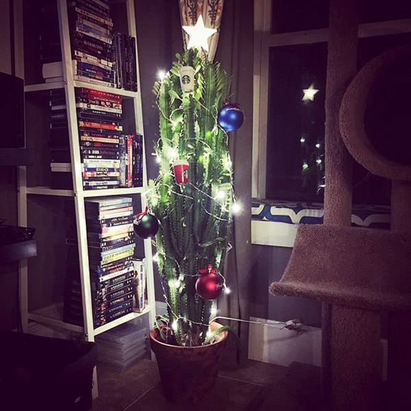 cactus-christmas-tree