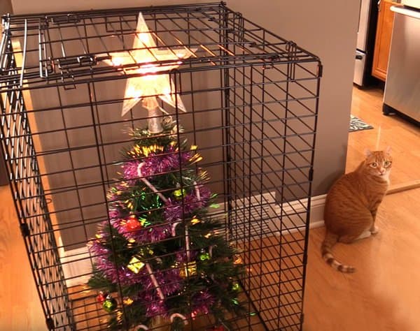 christmas-tree-inside-a-cage