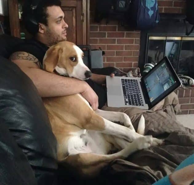 These Pets Got Clingy and Unashamedly Stole Their Owner's Partner