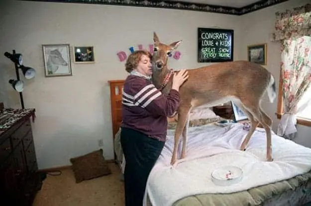 woman-hugging-a-deer