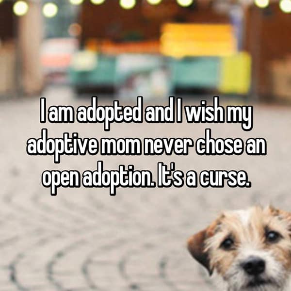 Experiences With Open Adoption curse