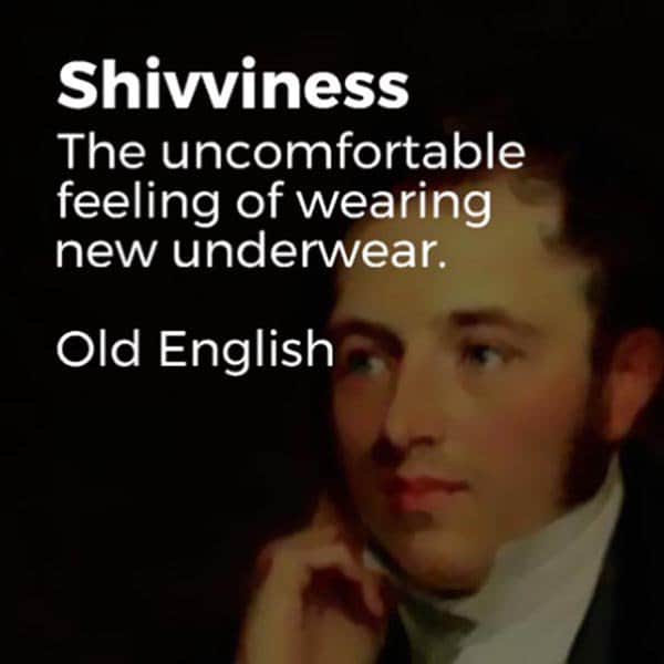 Forgotten English Words shivviness