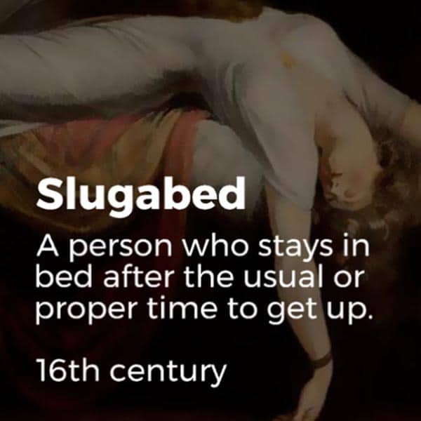 Forgotten English Words slugabed