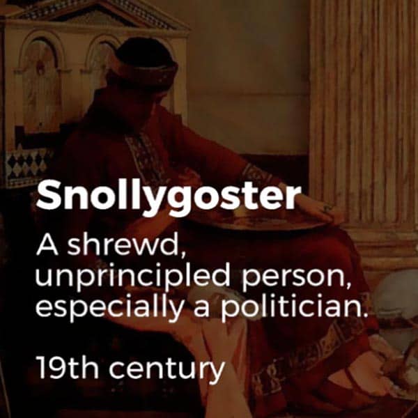 Forgotten English Words snollygoster
