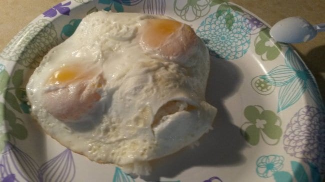 Kitchen Fails alien eggs