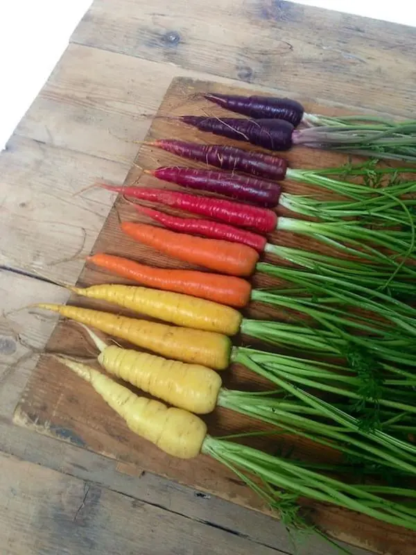 Oddly Satisfying Food Photos carrot colors