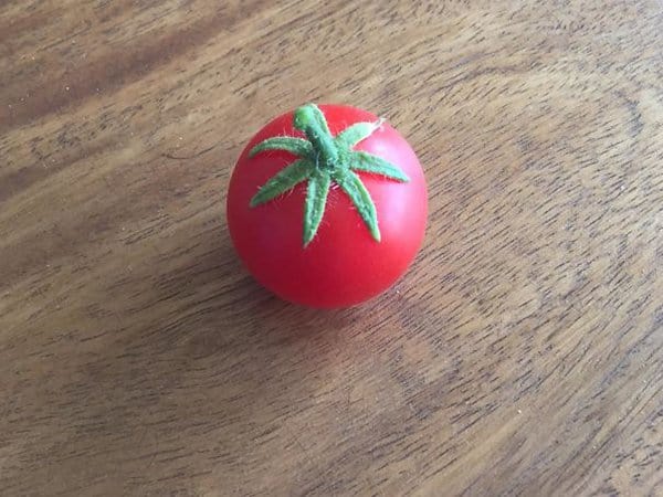 Oddly Satisfying Food Photos perfect tomato