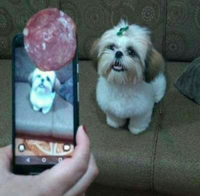 People Whose Creativity Knows No Bounds sausage photo