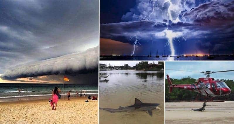 Photos That Will Make You Totally Respect The Bravery Of The Residents Of Australia