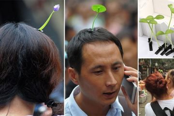 These Sprouting Hairpins Are The Latest Chinese Fashion Craze