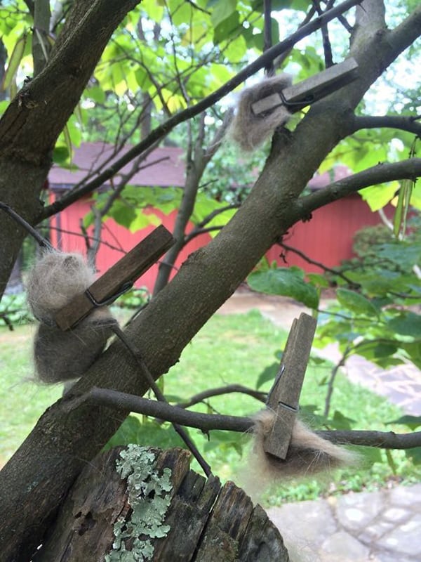 Times Grandparents Made Life More Interesting cat hair to trees