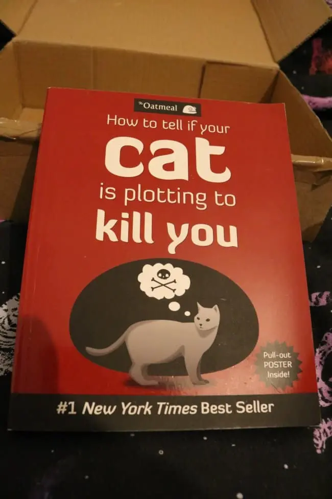 Times People Received Weird Stuff cat plotting to kill you