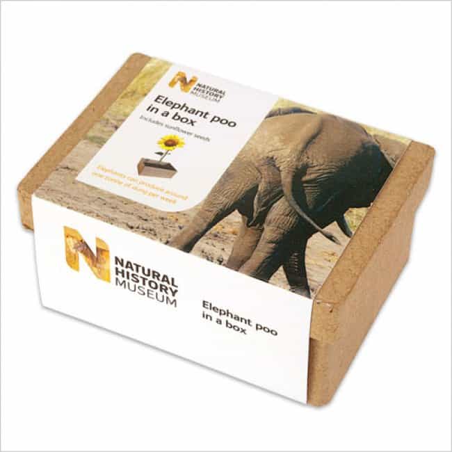 Times People Received Weird Stuff elephant poo in a box