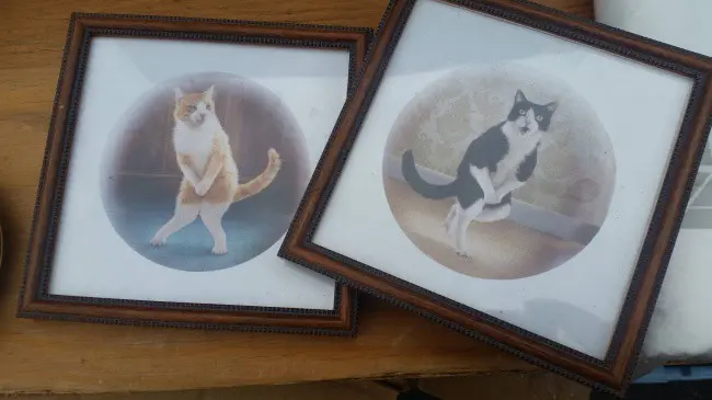 Weird Thrift Store Finds cat frames