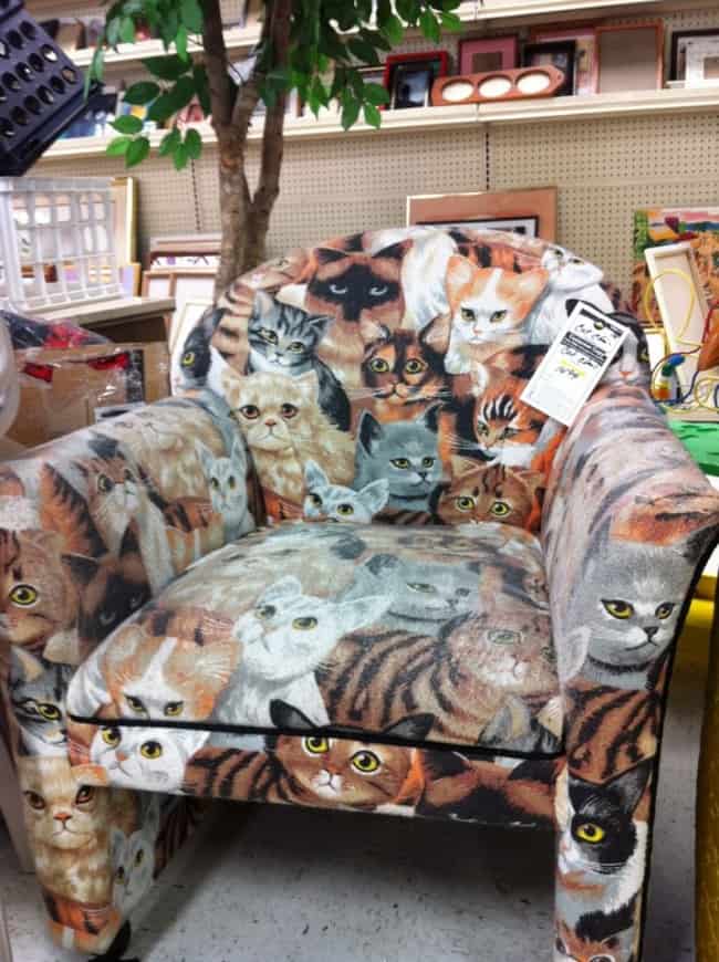 Weird Thrift Store Finds chair covered in cats